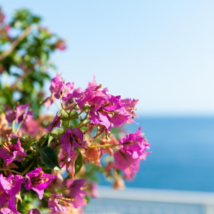 Bed and Breakfast Made in Sicily Santa Tecla Acireale Exterior foto